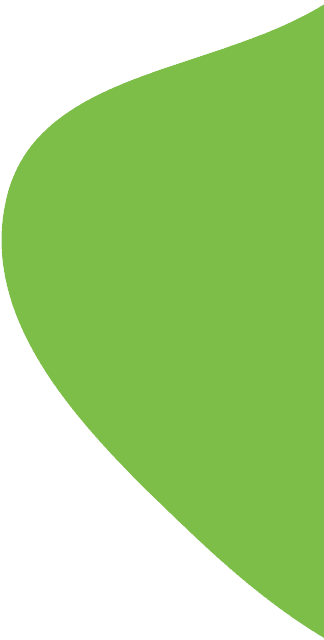 bannerAsset2